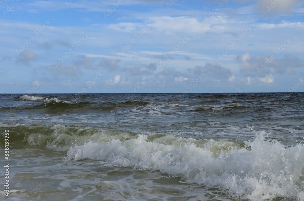 A wave from the ocean goes to the shore A wave from the ocean goes to the shore