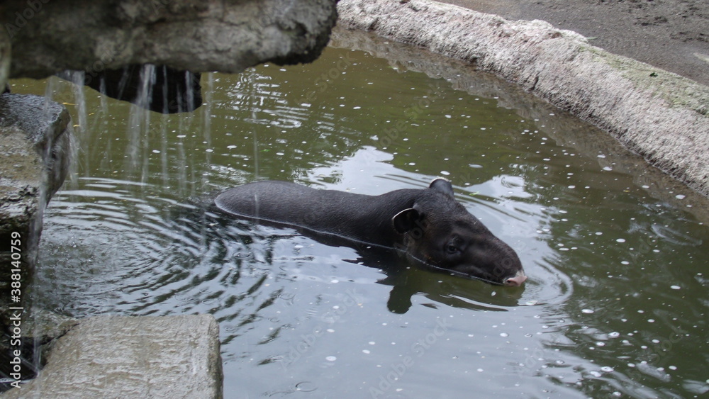 Fototapeta premium GEDSC DIGITAL CAMERA