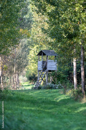 Wooden watchtower in forest