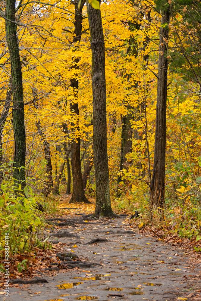 Hiking Trail