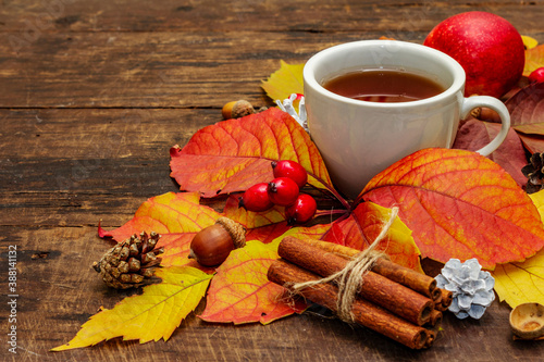 Hot tea with colorful autumn leaves, acorns, cinnamon and rosehip berries