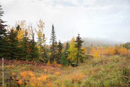 Meadow near Lake Superior on a foggy morning during autumn