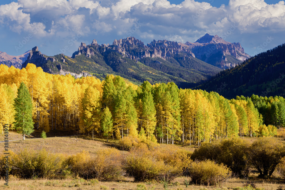 Beautiful Autumn Color in the Cimarron Mountains of Colorado. Beautiful Autumn Color in the Cimarron Mountains of Colorado.