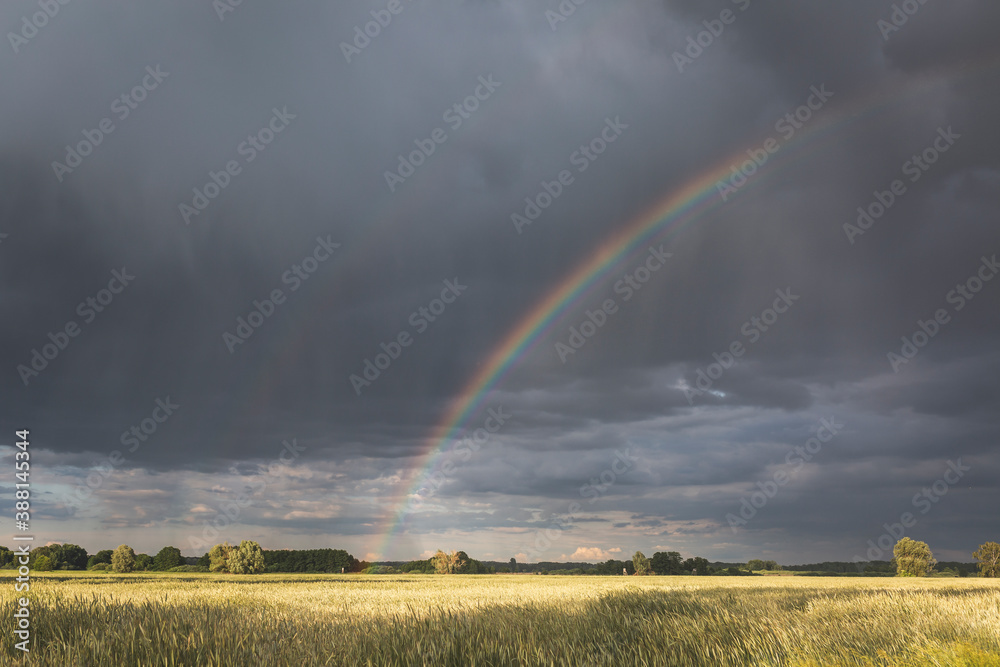 Scenic view of rainbow over landscape against cloudy sky Scenic view of rainbow over landscape against cloudy sky
