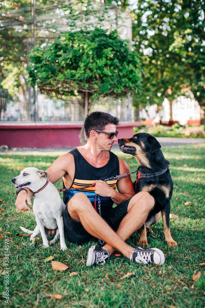 Handsome man with dogs sitting on grassy land in park Handsome man with dogs sitting on grassy land in park