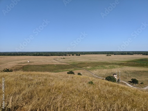 landscape with cows
