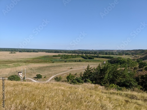 landscape with cows