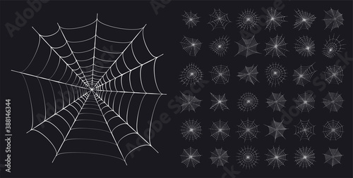 Spider web concept