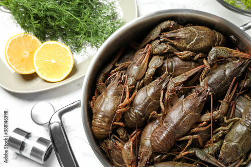 Fresh raw crayfishes in pot on white marble table, flat lay