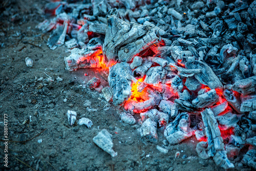 Embers burning in campfire ash