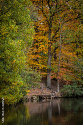 Fall season on the river Ilmenau near Lueneburg.