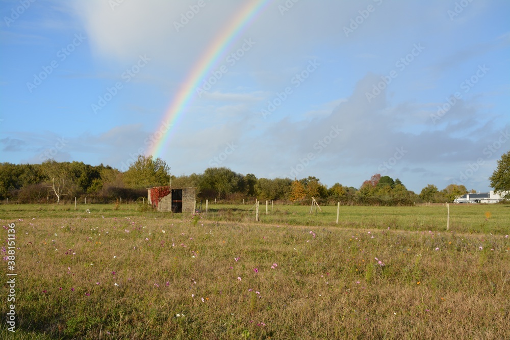 Naklejka premium Bouaye - Arc-en-ciel au dessus du cabanon