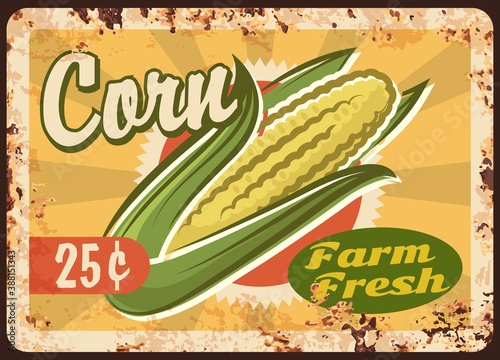 Corn rusty metal plate, vector fresh farm product vintage rust tin sign. Eco market vegetable production retro poster, healthy raw vegan food. Ferruginous price tag for organic veggies retail store