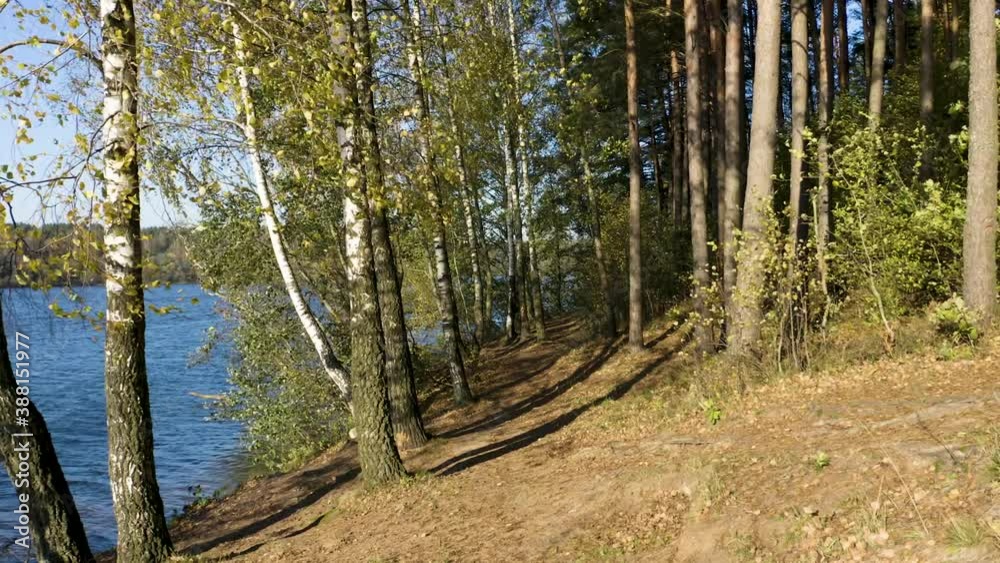 Drone flying in autumn forest on lake bank. Slow flight in forest on fall season.
Drone flying in autumn forest on lake bank. Slow flight in forest on fall season.
