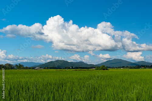 The white clouds have a strange shape and countryside.