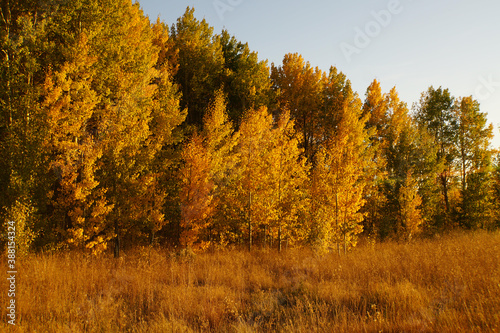 Scenic landscape view of a meadow with fall colors with warm golden hour light
