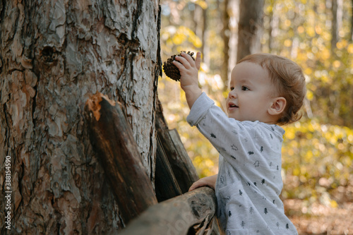 Little boy playing in the woods photo