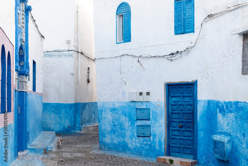 Narrow streets in the ancient Kasbah of Oudaia in Rabat, Morocco photo