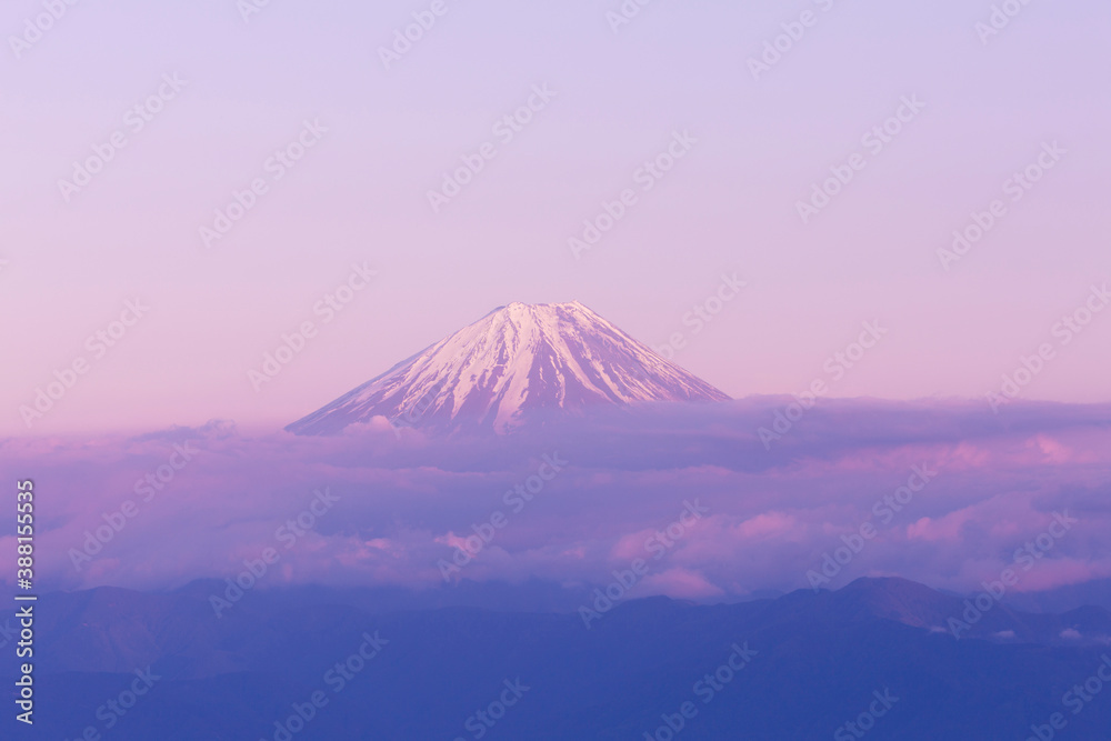 Fototapeta premium 甘利山からの富士山