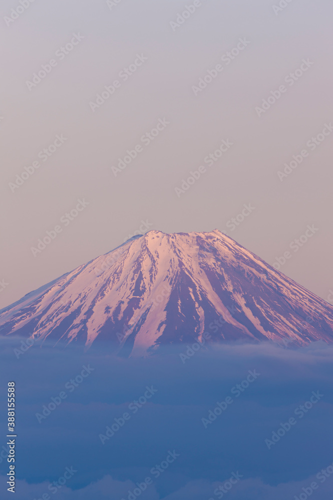 Fototapeta premium 甘利山からの富士山