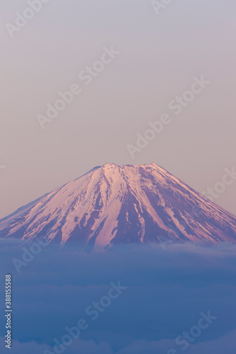 甘利山からの富士山