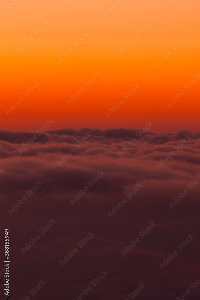 夜明けの雲海