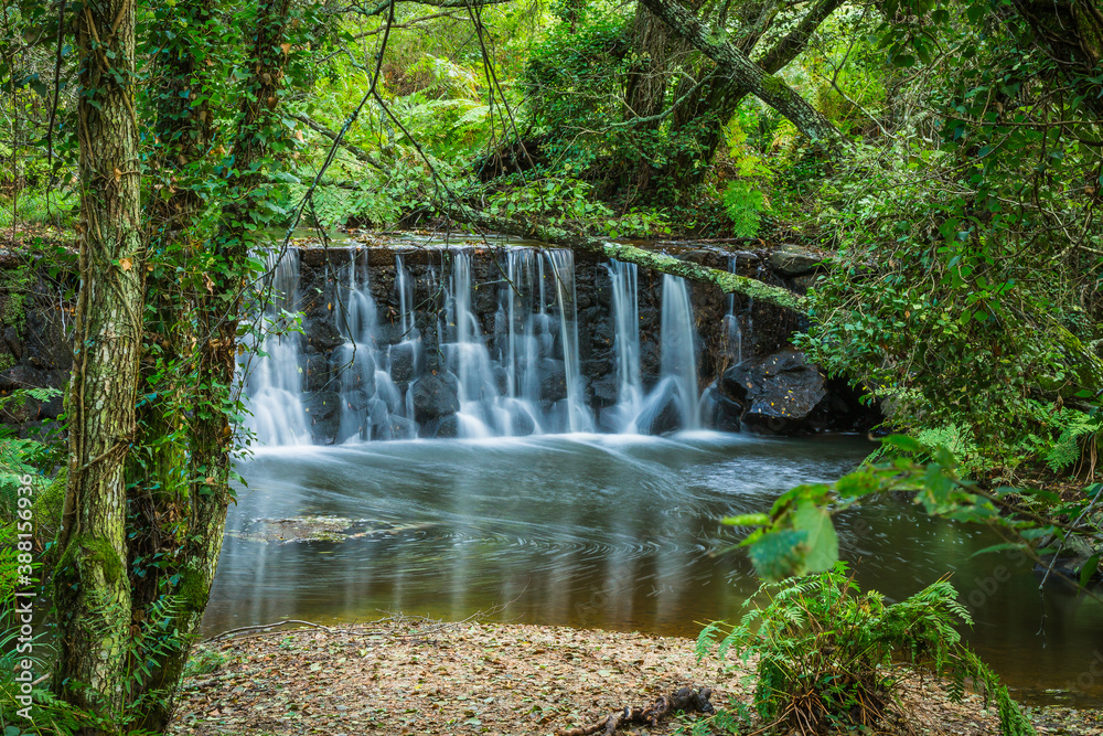 Beautiful forest waterfall with huge vegetation Beautiful forest waterfall with huge vegetation