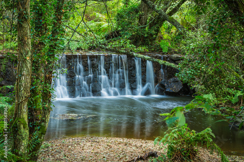 Beautiful forest waterfall with huge vegetation