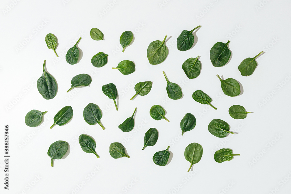 spinach leaves on white background spinach leaves on white background