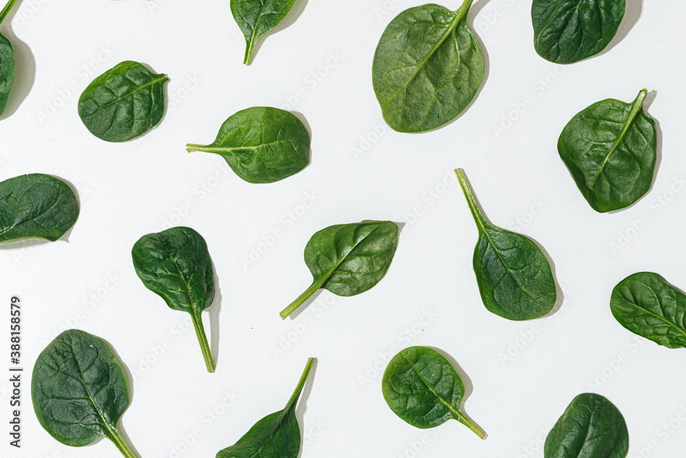spinach leaves on white background spinach leaves on white background