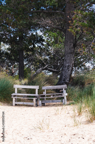 couple of simple benches made of upcycled wooden pallets on a beach in Tasmania, Australia