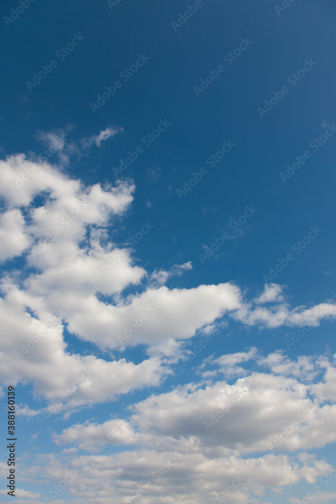 Fototapeta premium 快晴の空