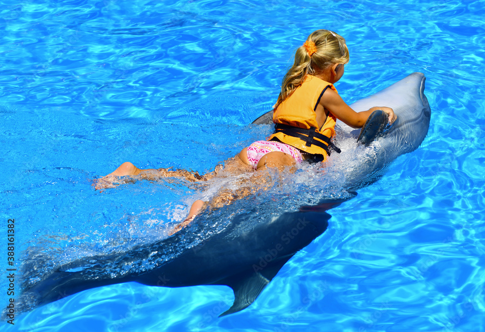 A little blonde girl rides a dolphin in the oceanarium with blue and transparent water. Joy. Pleasure. Water splashes and bubbles. The child plays with a cute sea whale, holding tightly to the fins.