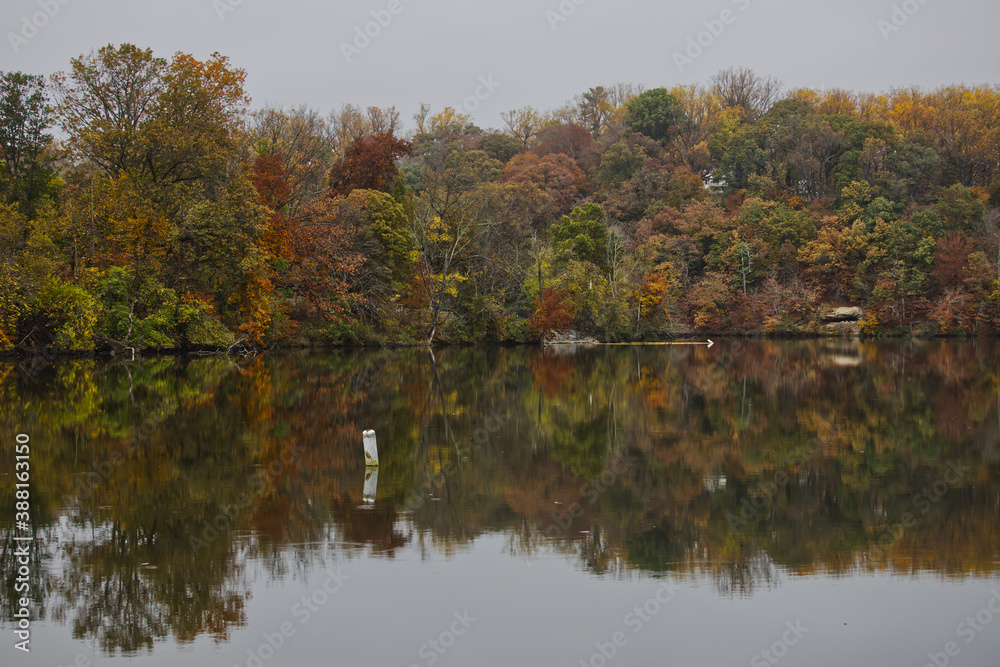 autumn trees reflected in water in Roland Lake Park in Baltimore Maryland usa autumn trees reflected in water in Roland Lake Park in Baltimore Maryland usa