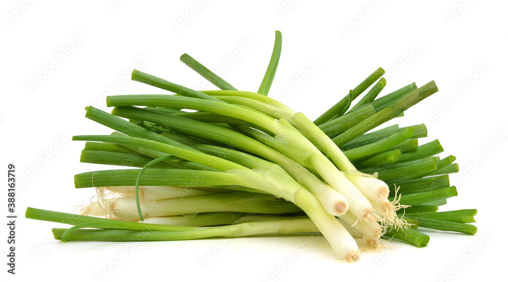 Obraz premium Fresh scallions isolated on a white background