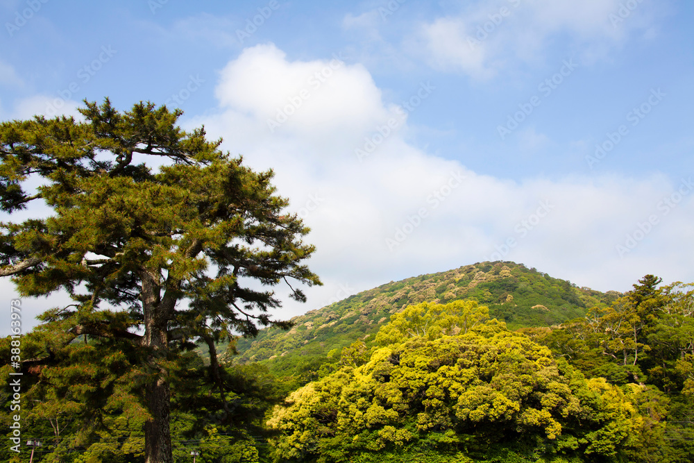 神路山(かみじやま) 神路山(かみじやま)