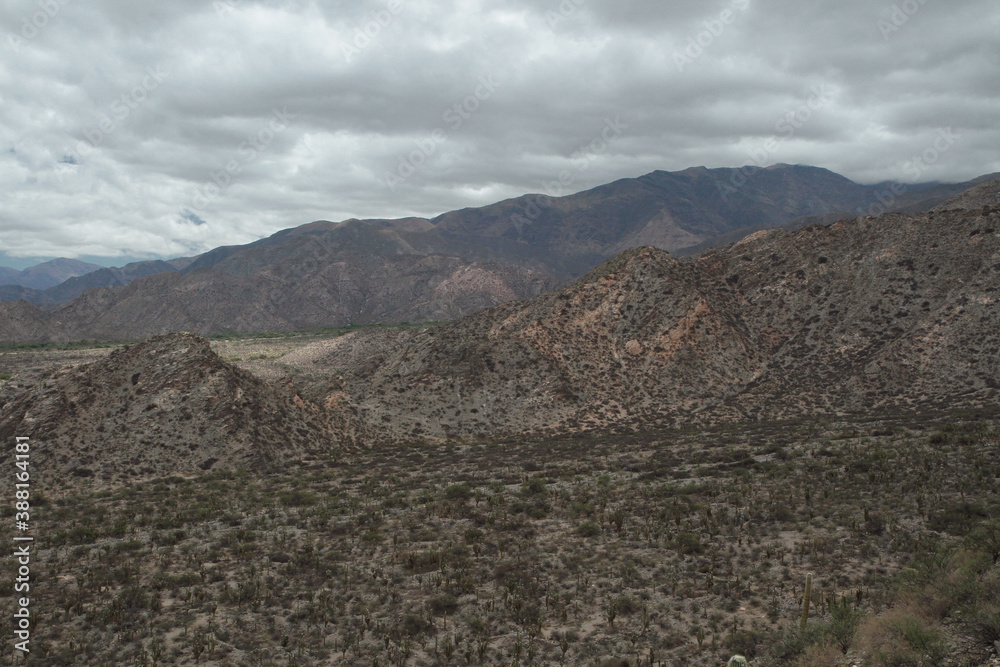 Desert landscape. Natural texture. View of the arid land, mountains and desert flora.