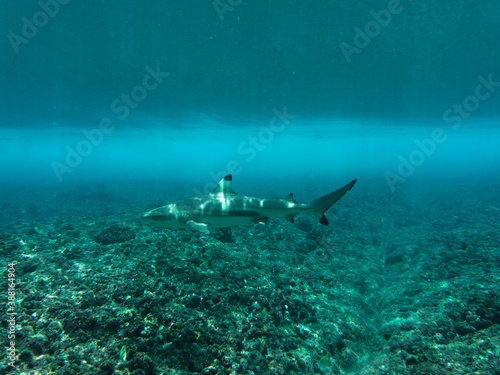 Selección de fotos del viaje a maldivas, una visión diferente de las islas, una parte menos turística, mucha naturaleza y surf.