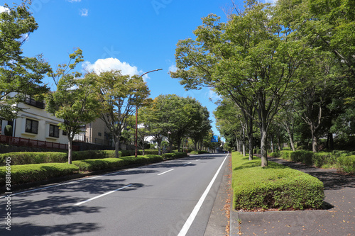 森の里の街並み（神奈川県厚木市）