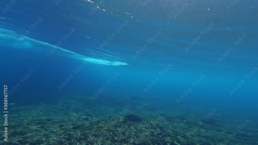 Over to under water view of a lone surfer passing fast overhead. Seen from below the ocean surface Over to under water view of a lone surfer passing fast overhead. Seen from below the ocean surface