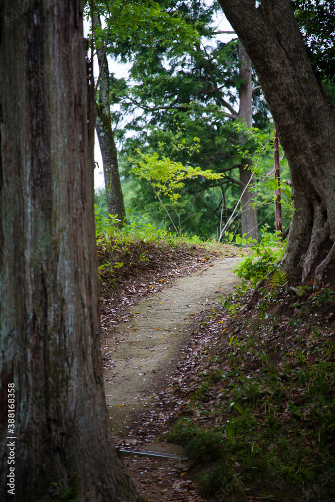 弘川寺境内の道