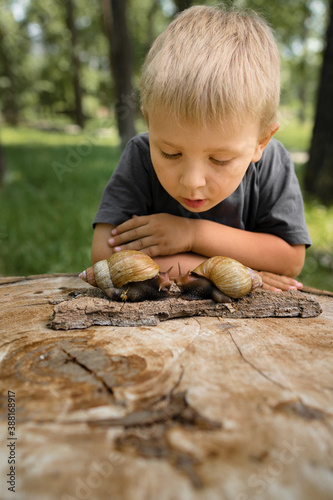 boy watching snails