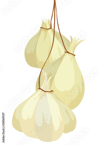 Isolated Hanging Garlic Bundle with Rope, Vector Illustration