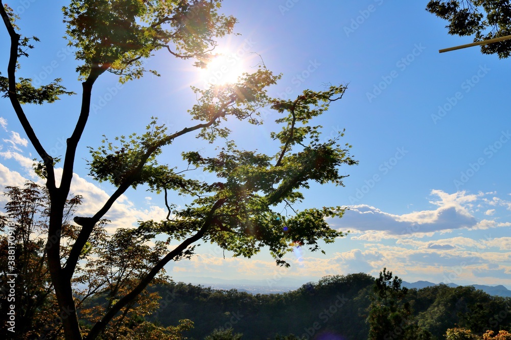 Obraz premium 秋の山 日差し 風景