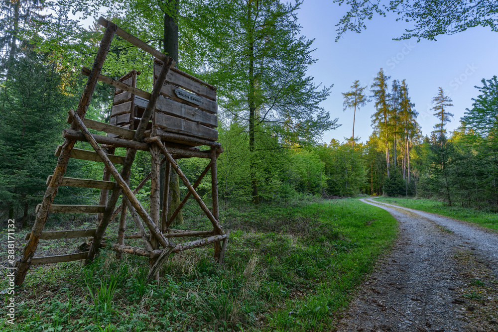 High Seat in th e woodlands called seat of the baron High Seat in th e woodlands called seat of the baron