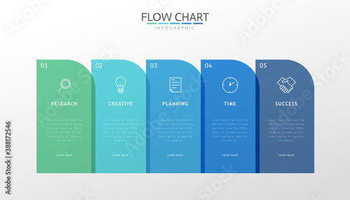Flow chart infographics design