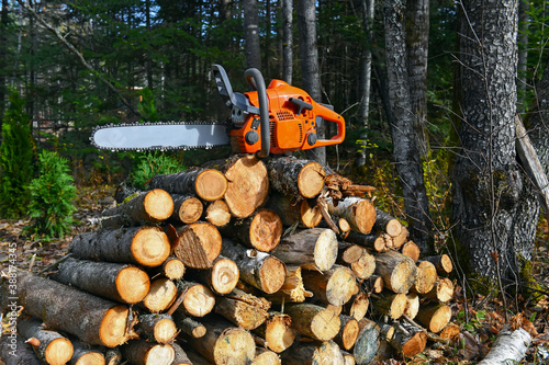 Chainsaw with woodpile of cut logs in background in forest