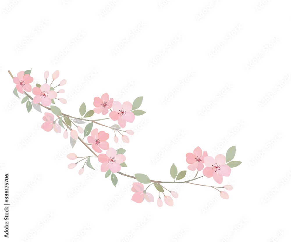 桜の花　水彩画風