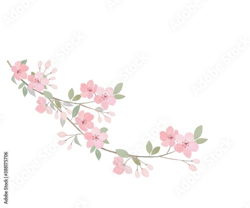 桜の花 水彩画風