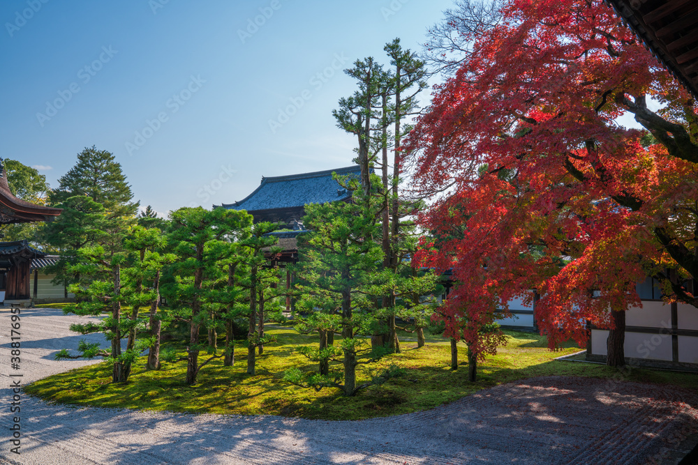Naklejka premium 京都 仁和寺の紅葉